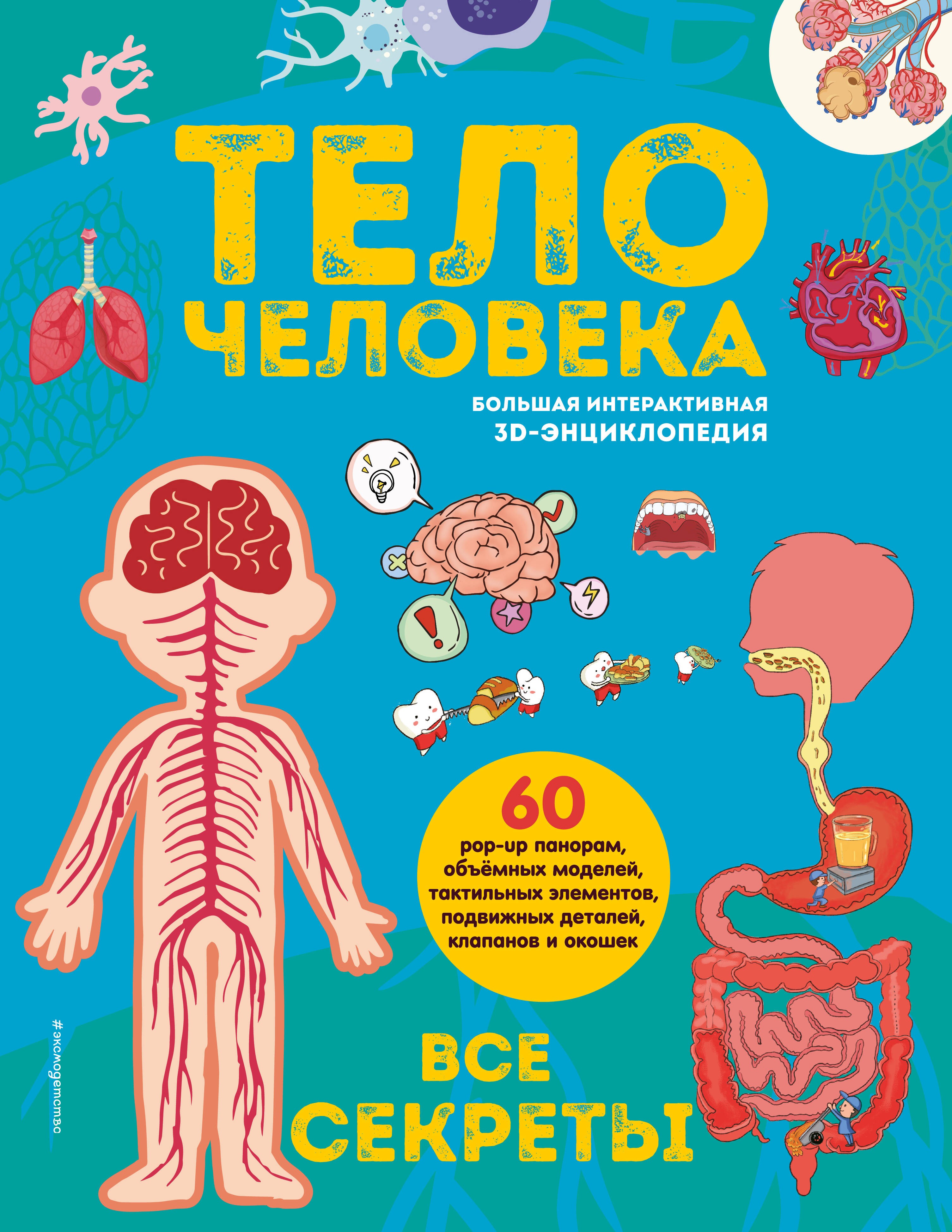 Тело человека. Все секреты. Большая интерактивная 3D-энциклопедия
