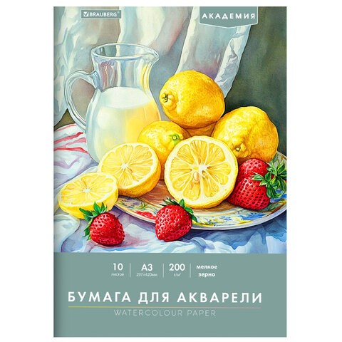 Папка для акварели БОЛЬШАЯ А3, 10 л., 200 г/м2, 297х420 мм, BRAUBERG АКАДЕМИЯ, Летний натюрморт, 117741