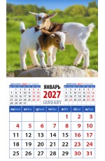 Календарь 2027 магнитный 20724 Год козы Забавные малыши