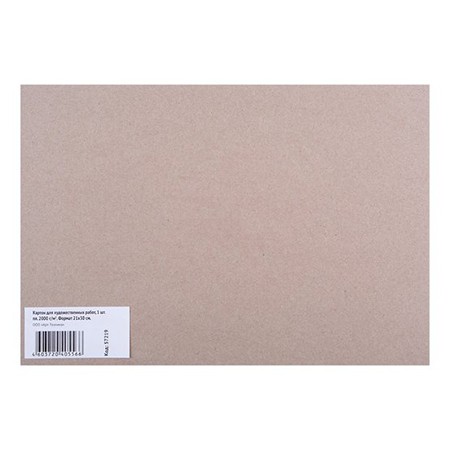 Картон д/худработ 21*30см 2000г/м2 57219
