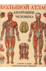 Большой атлас анатомии человека