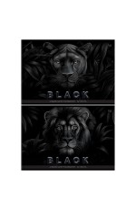 Альбом для рисования 32л., А4, на скрепке BG Just black, soft-touch ламинация, выб. лак