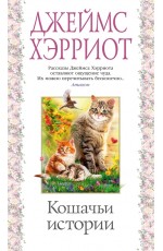 Кошачьи истории