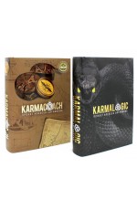 Ситников KARMALOGIC+KARMACOACH — Проект Алексея Ситникова в 2-х томах