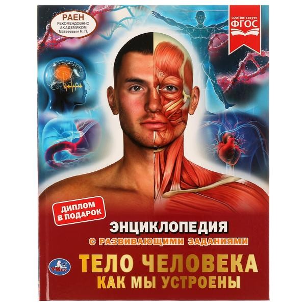 Тело человека. Как мы устроены. Энциклопедия А4. 197х255мм, 48 стр.мелов. бумага. Умка в кор.15шт