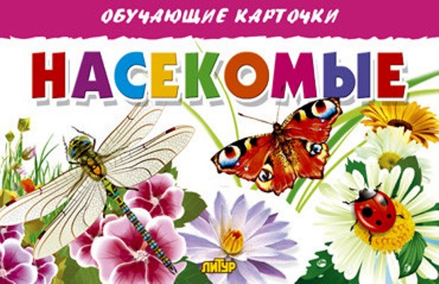 Насекомые