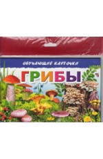 Карточки Грибы (в европакете)