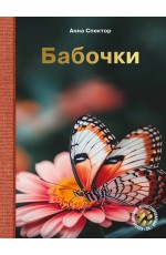 Бабочки