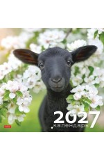 Календарь 2027 настен перекид на скобе 36886 Знак Года