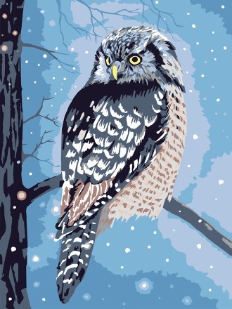 Картина д/раскра по номер 40х 30см картон Сова в сумерках PKZ/PM-091 Фрея