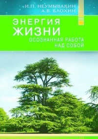 Энергия жизни. Осознанная работа над собой