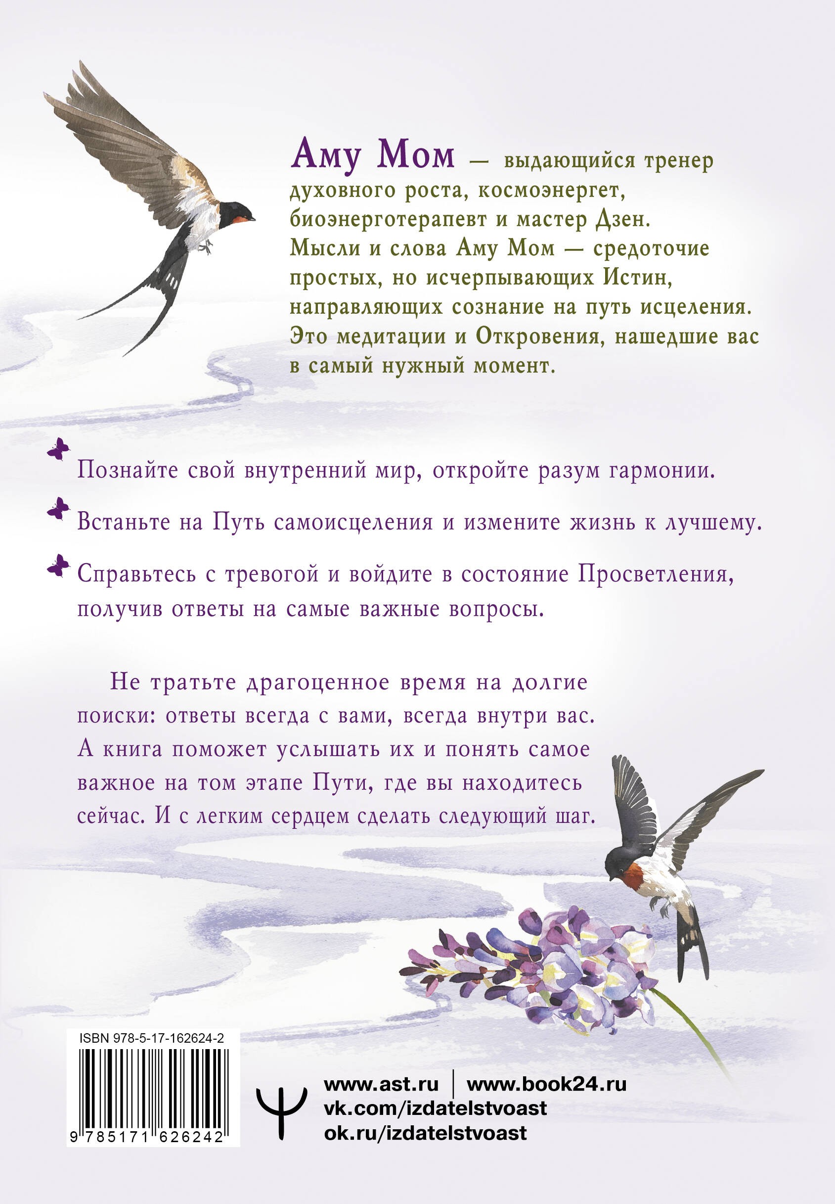 Энергии Дзен для самоисцеления, созидания и равновесия. Путь в Страну Мудрости