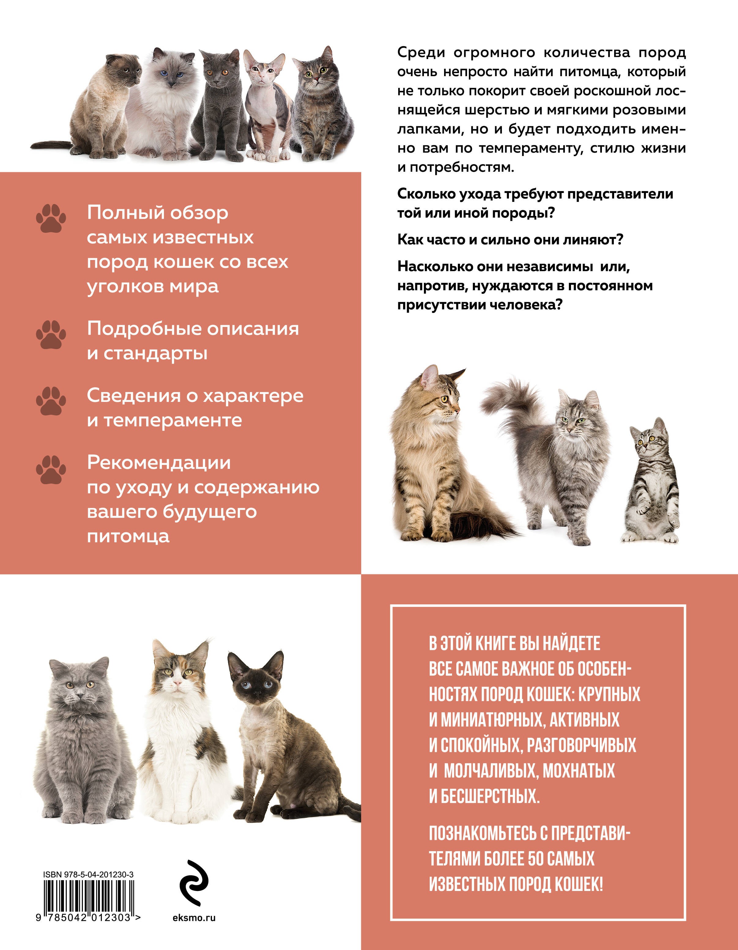 Самые известные породы. КОШКИ. Большая иллюстрированная энциклопедия