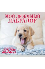 Мой любимый лабрадор. Календарь настенный на 2025 год (300х300 мм)