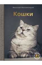 Кошки