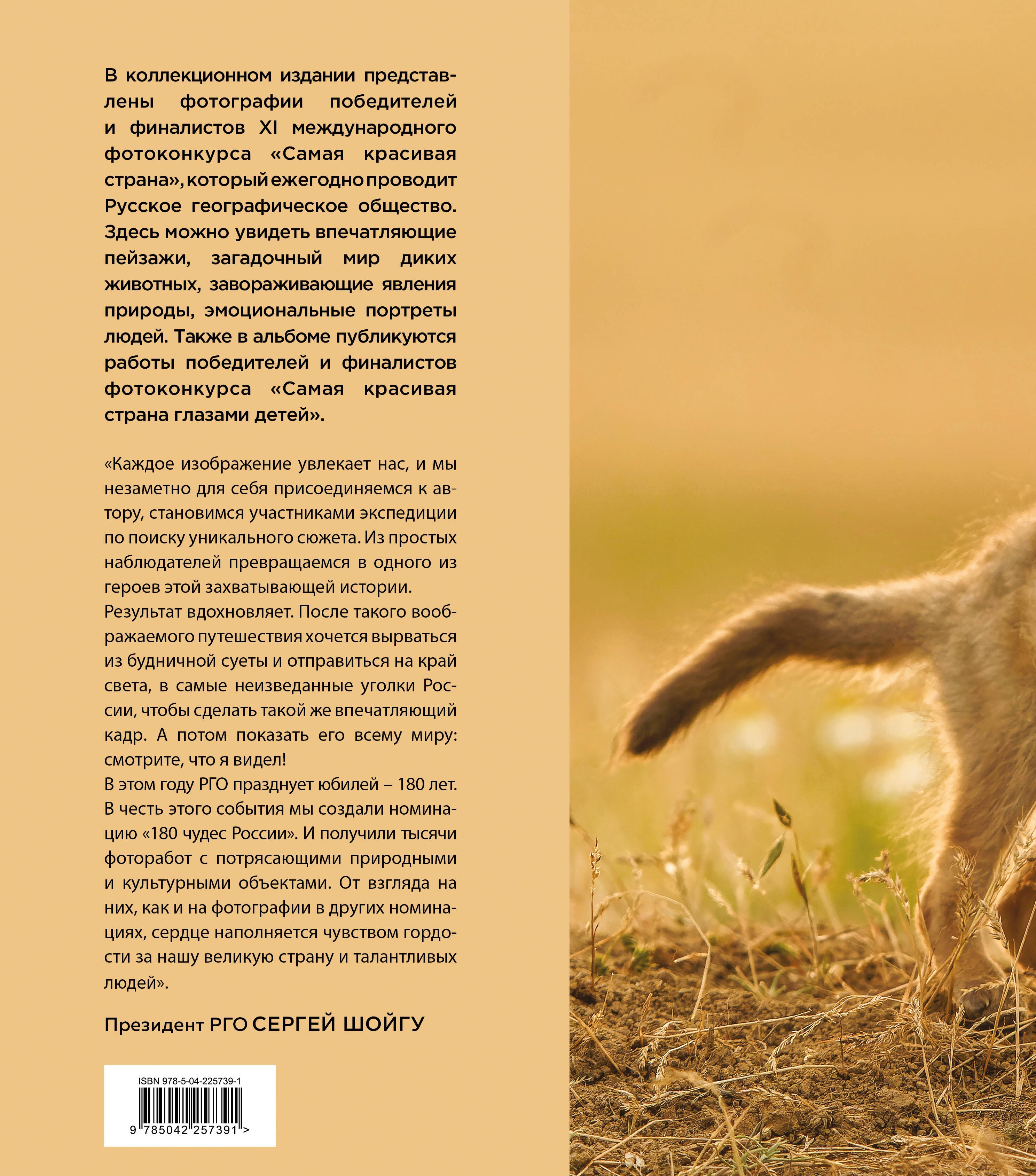 Россия самая красивая страна. Фотоконкурс 2025