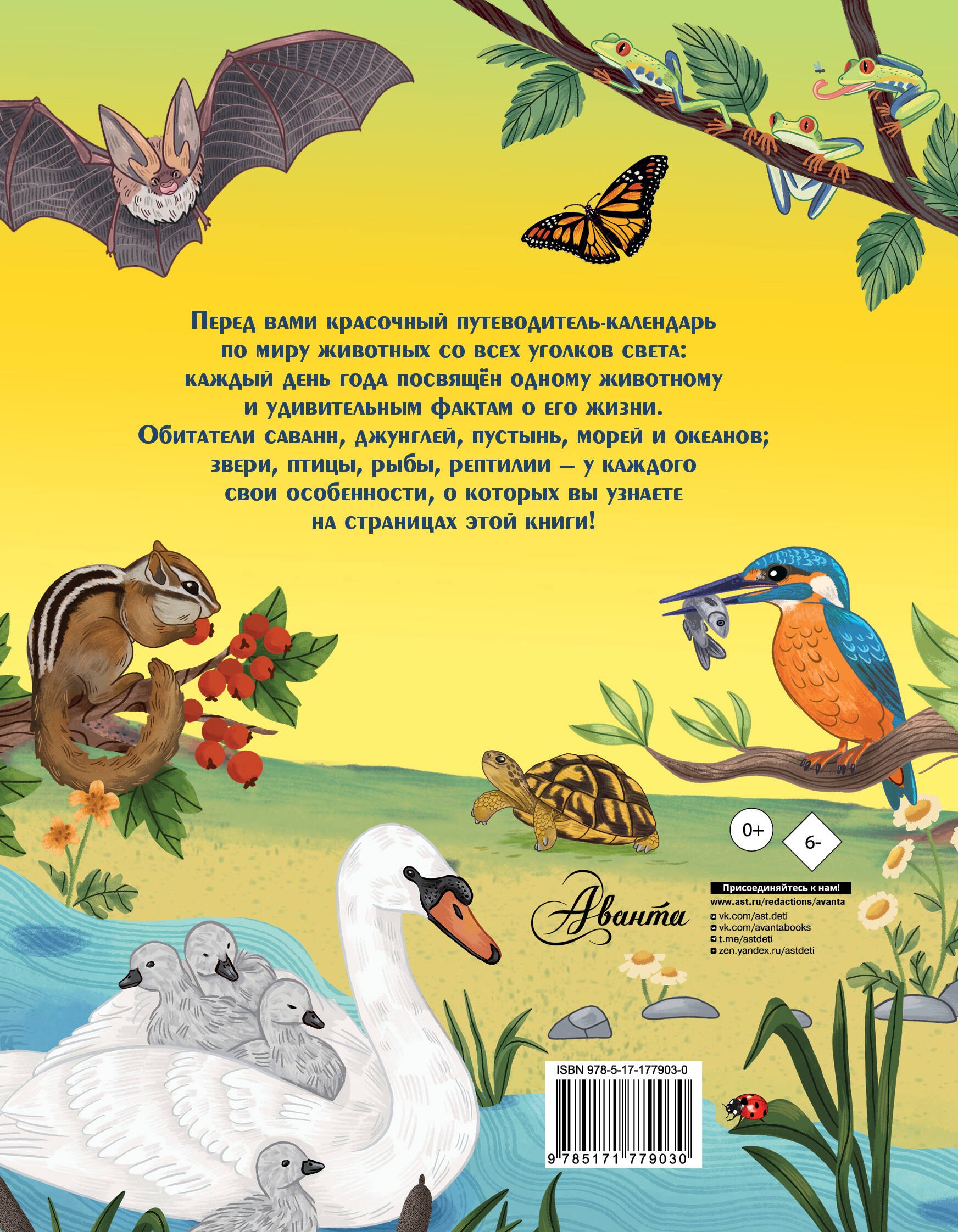 Животные каждый день. Большая энциклопедия