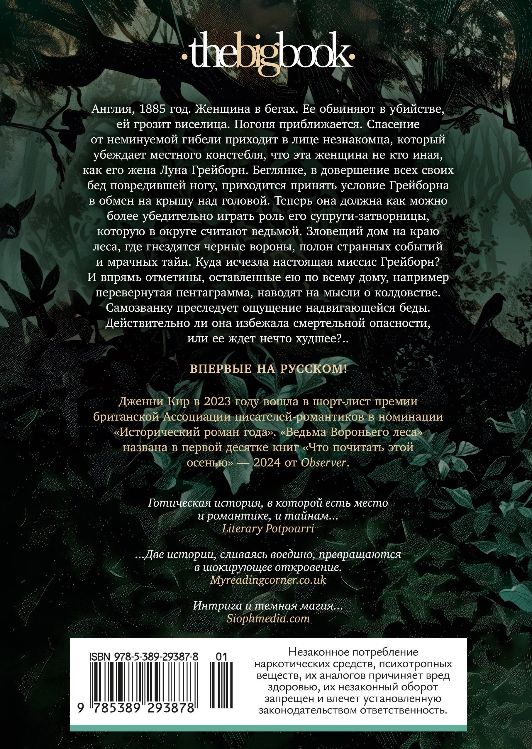 Ведьма Вороньего леса