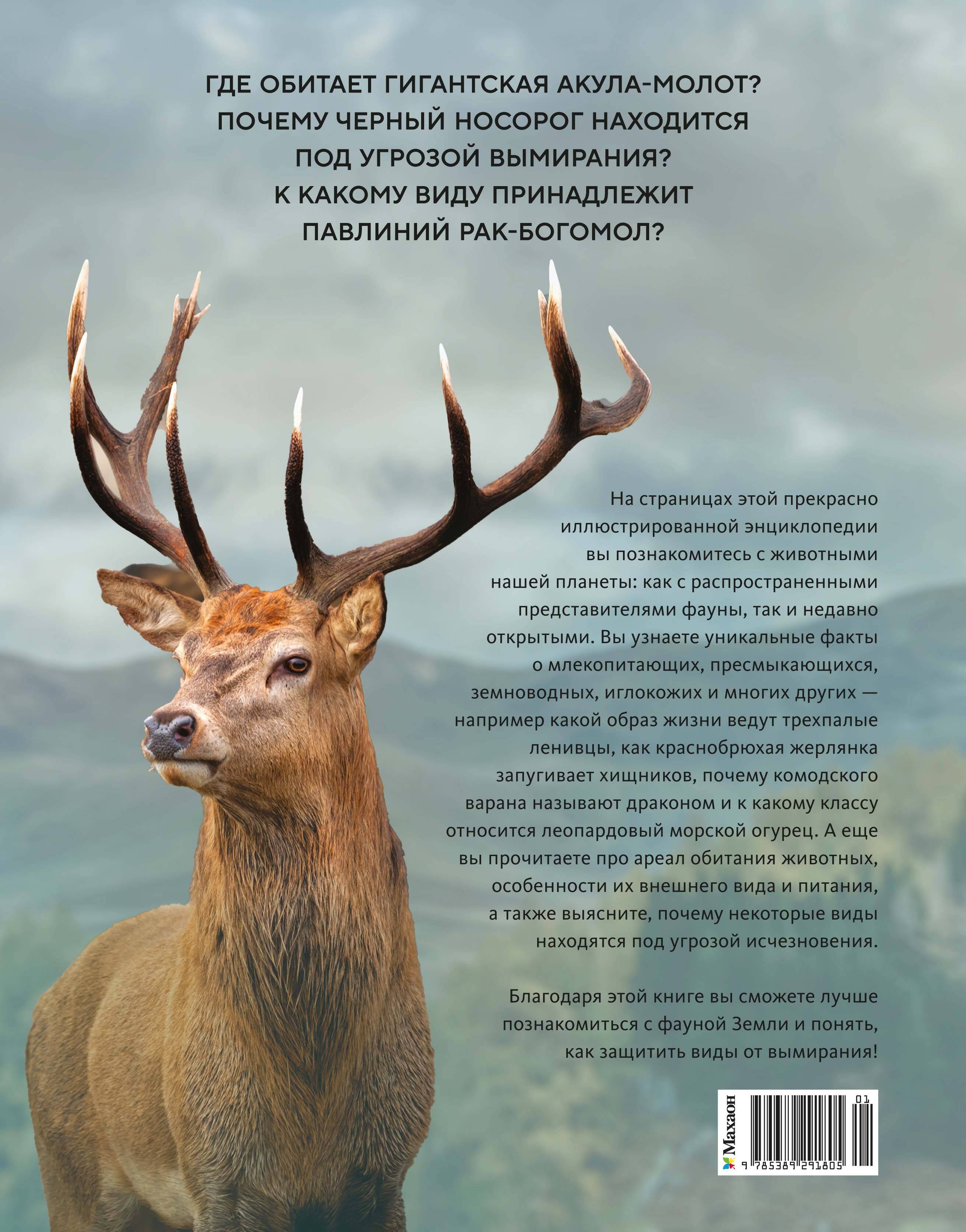 Огромная энциклопедия животных мира