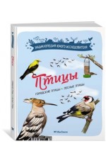 Птицы