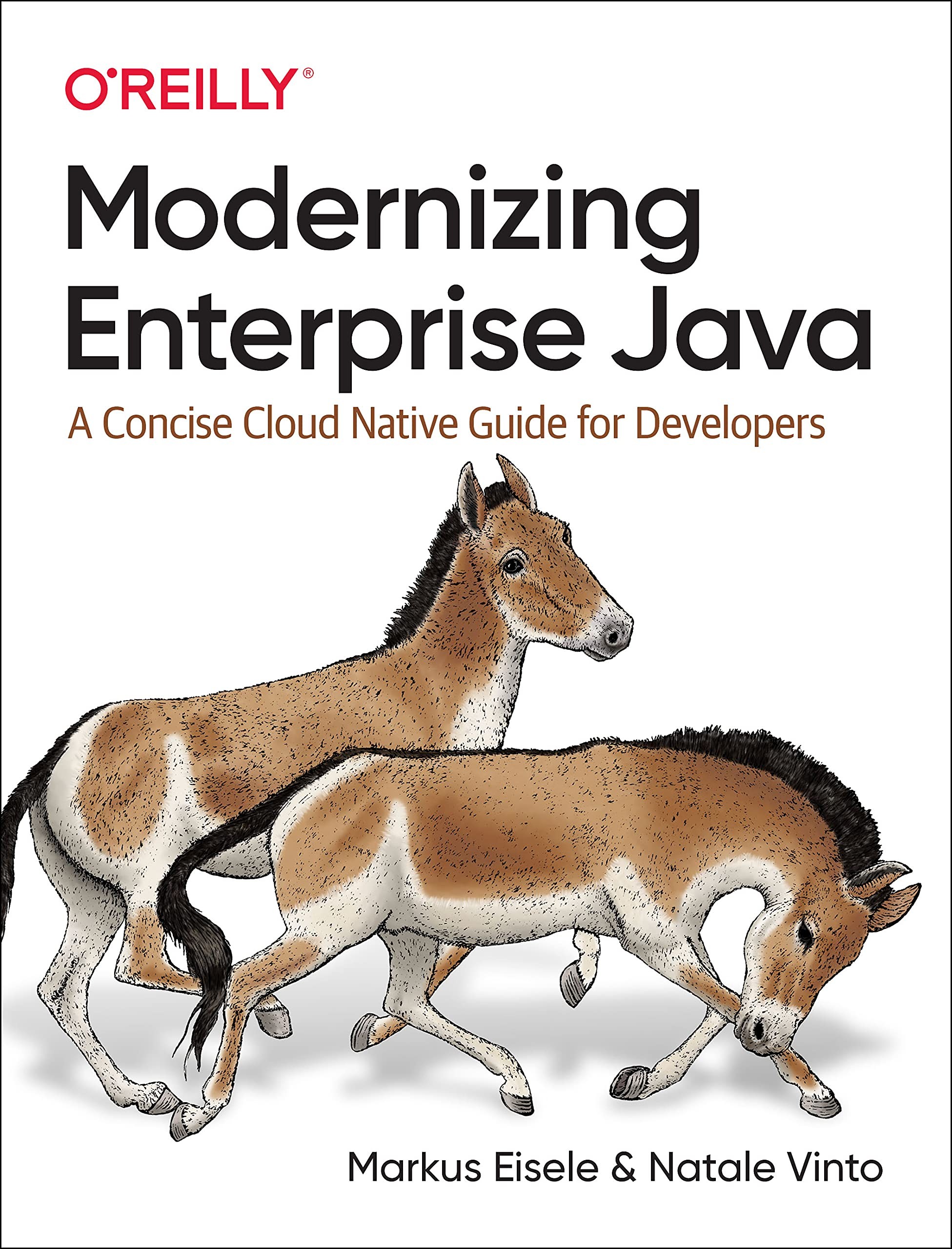 Эйзеле Модернизация Java Enterprise: облачные технологии для разработчиков