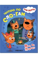 Читаю по сло-гам Ночь на природе Три кота