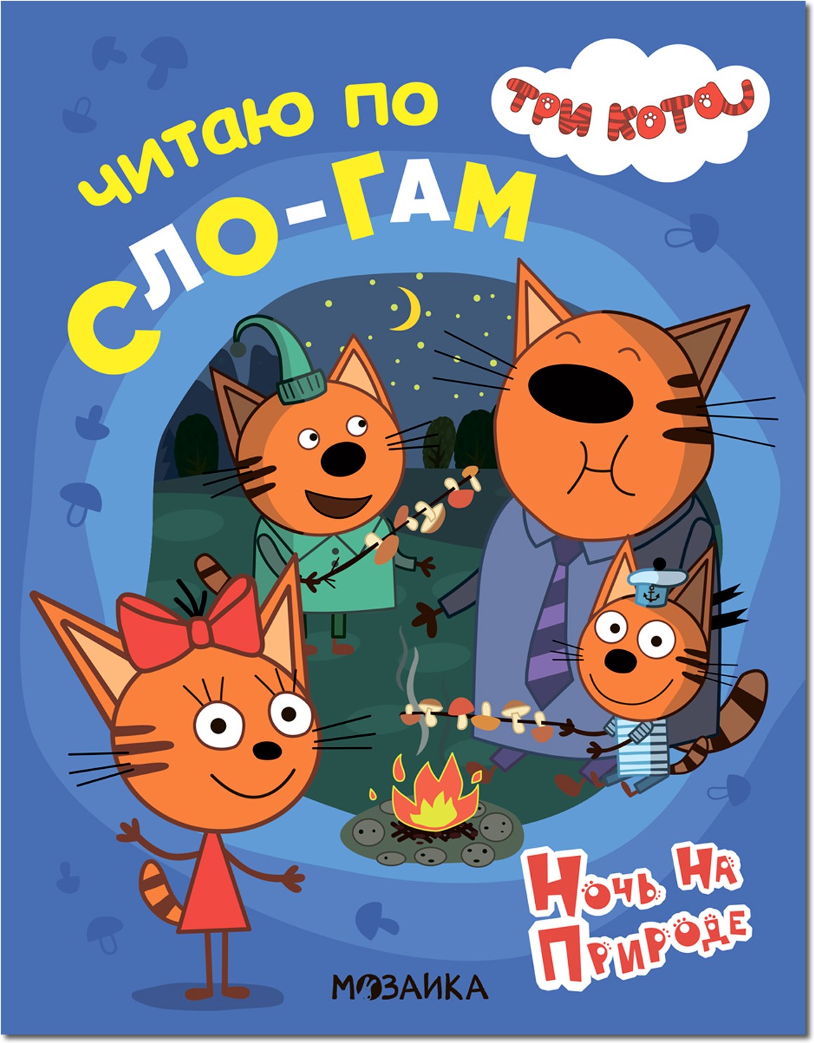 Читаю по сло-гам Ночь на природе Три кота