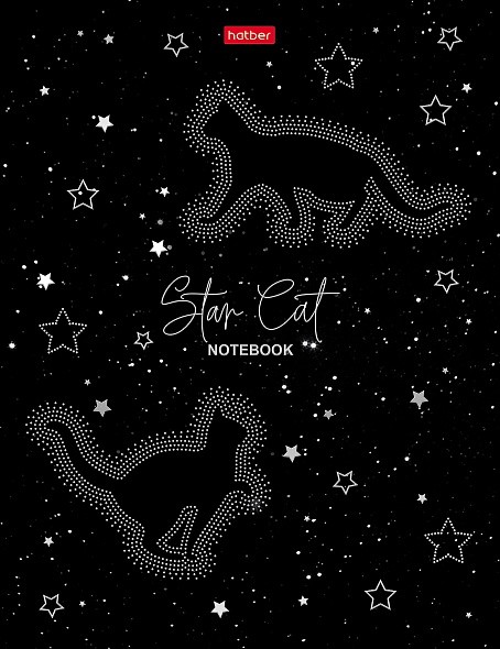 Тетрадь 80л кл 5цв блок твобл Звездный котик 30981 Хатбер