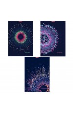 Тетрадь А4 48л кл Генезис 12006/3 Полиграф Принт