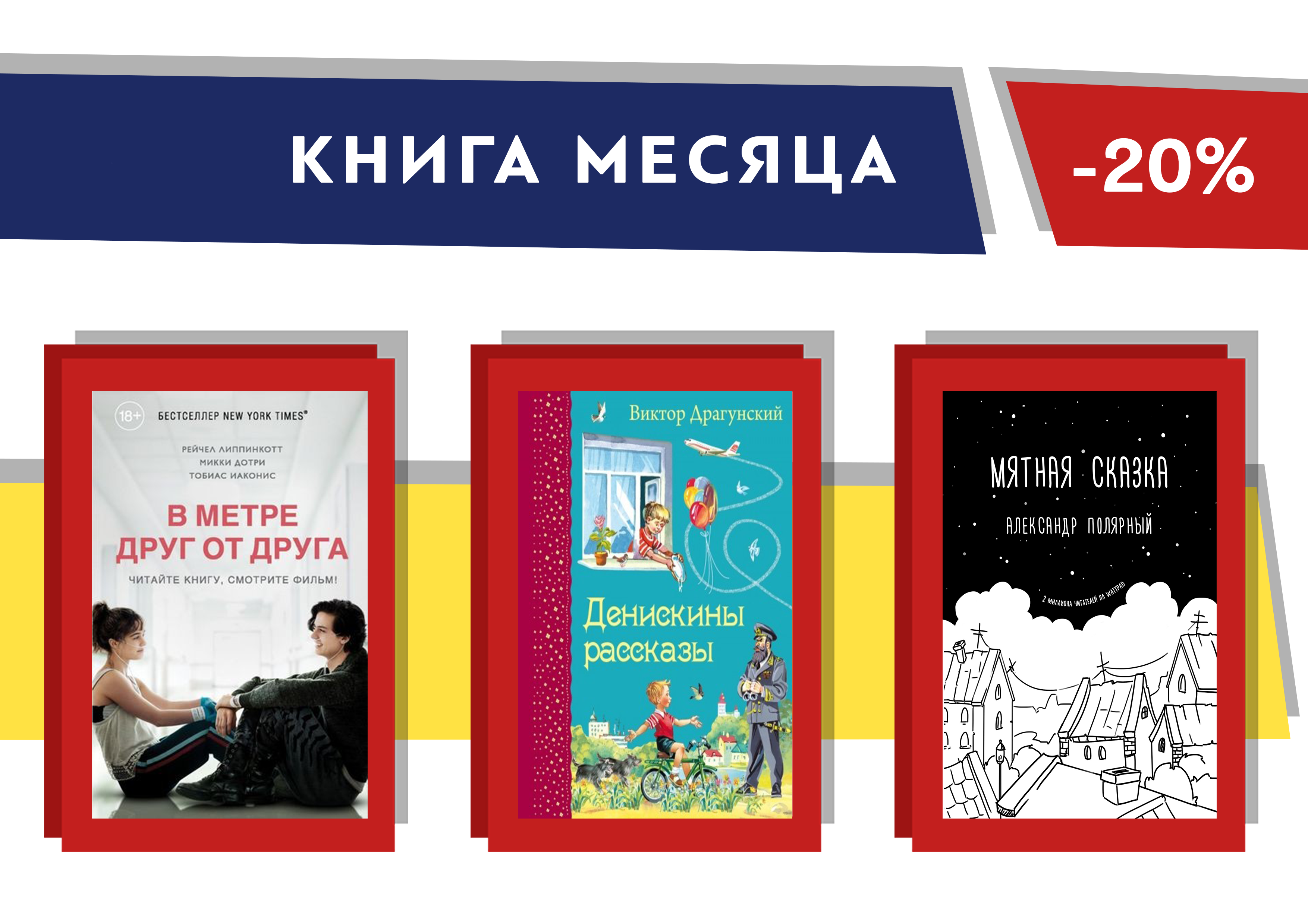 В метре друг от друга презентация о книге